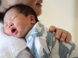 胚胎实验室主任